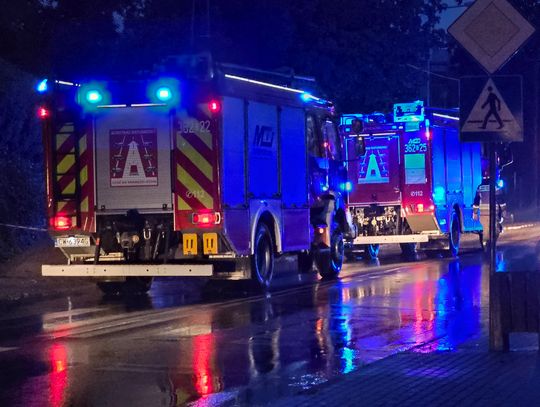 Powalone drzewa i uderzenie pioruna. Pracowita noc strażaków