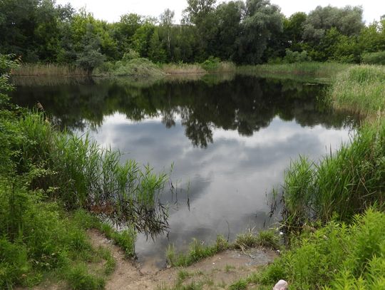 Powstanie Park Grzywno. Ratusz ogłosił przetarg, wpłynęły dwie oferty