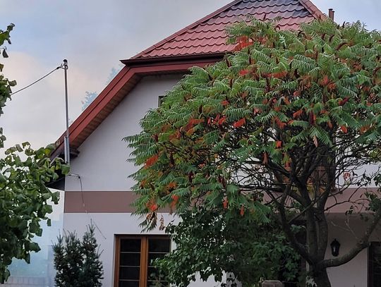 Pożar domu na Lisku. Na miejscu było 10 zastępów straży