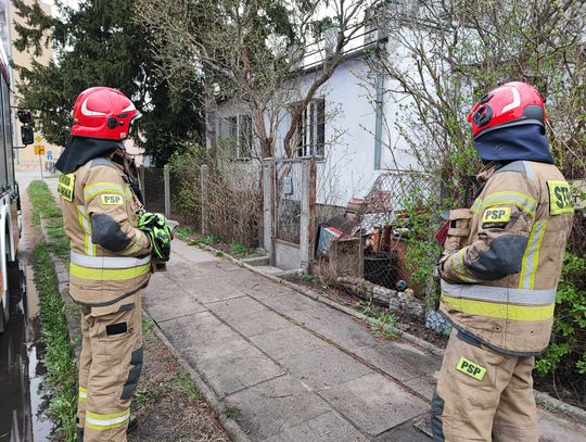 Pożar kuchni domu jednorodzinnego przy ul. Bajecznej