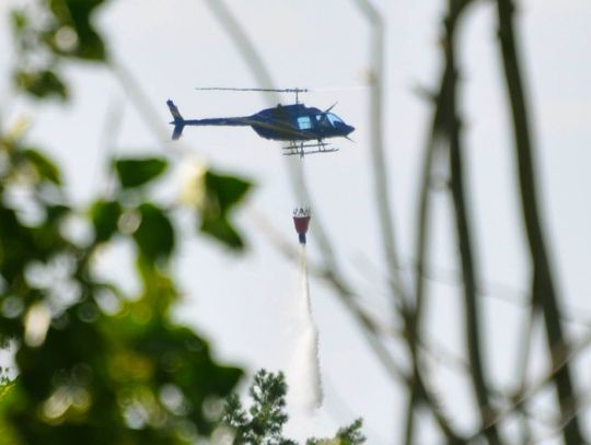 Pożar lasu na Zazamczu. W akcji gaśniczej brał udział helikopter
