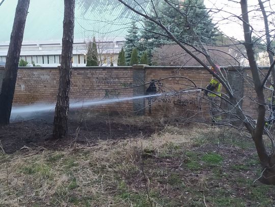 Pożar lasu obok Kościoła św. Józefa