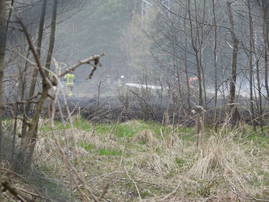 Pożar nieużytków naprzeciw "Magdalenki". Trzy zastępy straży pożarnej gasiły ogień