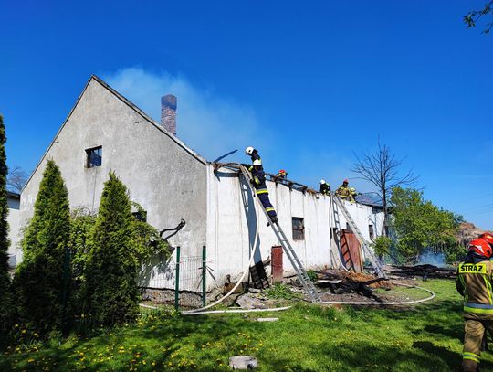 Pożar obory pod Włocławkiem w środku były zwierzęta. Trwa akcja gaśnicza