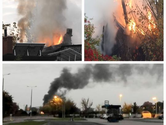 Pożar pustostanu przy ul. Miłej. Trwa akcja gaśnicza, na miejscu służby