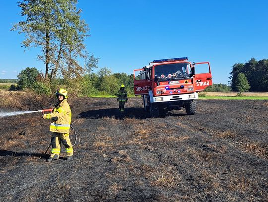 Pożar rżyska w Lisku. W czasie akcji gaśniczej doszło do zasłabnięcia