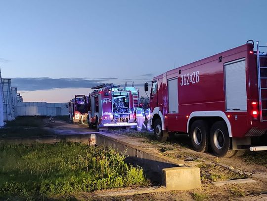 Pożar torfu w Nasiegniewie. Akcja gaśnicza trwała ponad godzinę