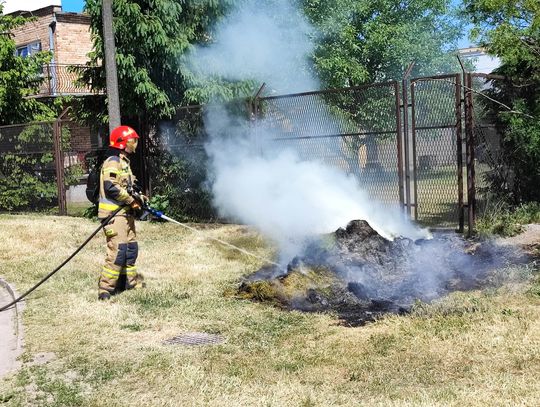 Pożar trawy przy ulicy Smólskiej. Na miejscu byli strażacy z JRG 1