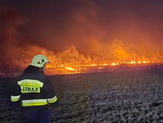 Pożar trzciny w gminie Izbica Kujawska. Akcja gaśnicza trwała 1,5 godziny