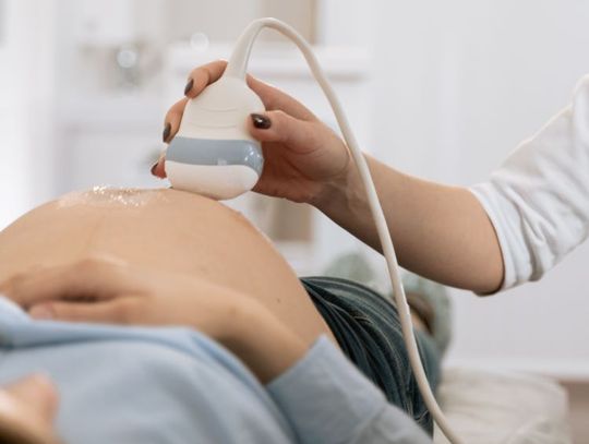 Program in vitro dla mieszkańców Włocławka. Ogłoszono konkurs ofert na realizację kolejnych edycji 