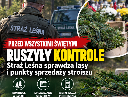 Przed Wszystkimi Świętymi ruszyły kontrole. Straż Leśna sprawdza lasy i punkty sprzedaży stroiszu