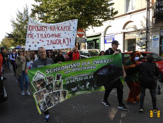 Przemarsz ze zwierzakami przez ul. 3-go Maja. Co świętowano? 