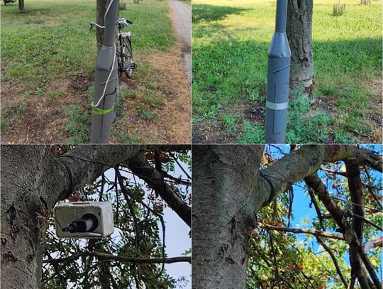 Przewód wychodzący z latarni na ul. Broniewskiego usunięto. Lampki zostały