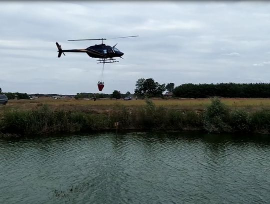 Przez trzy godziny służby gasiły płonącą ściółkę leśną. W akcji uczestniczył helikopter 