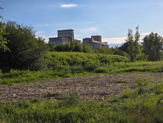 Ratusz nie przedłużył umowy, boisko przy ul. Płockiej - rozebrane. Teren przejął Skarb Państwa