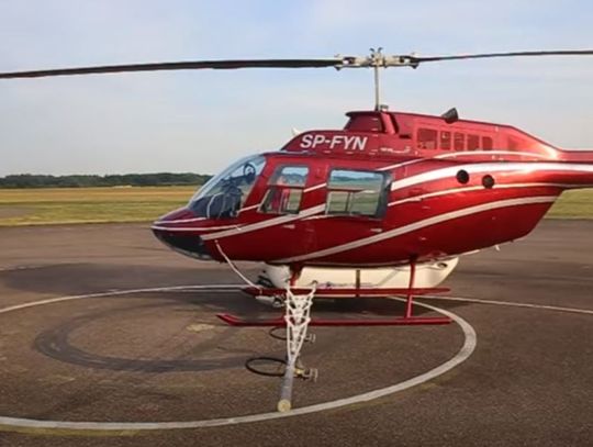 Ratusz szykuje się do walki z meszkami. Ogłoszono przetarg 