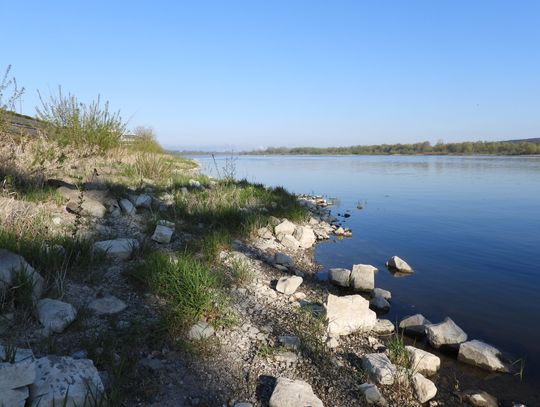 Ratusz unieważnił przetarg na opracowanie lokalizacji mostu