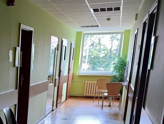 Ratusz wymienił krzesła na korytarzu. Te na których włocławianka napotkała pluskwę zostaną poddane dezynsekcji 