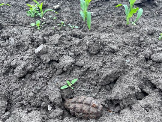 Region: rolnik znalazł na polu granat. Interweniowali saperzy