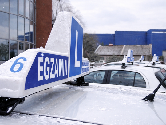 Rekordzista WORD 2025 do egzaminu teoretycznego podchodził 44 razy i nie zdał. Jaka była średnia zdawalność?