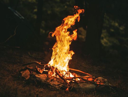 Rozpalili ognisko i odpalili fajerwerki. Następnie szarpali się z interweniującymi policjantami