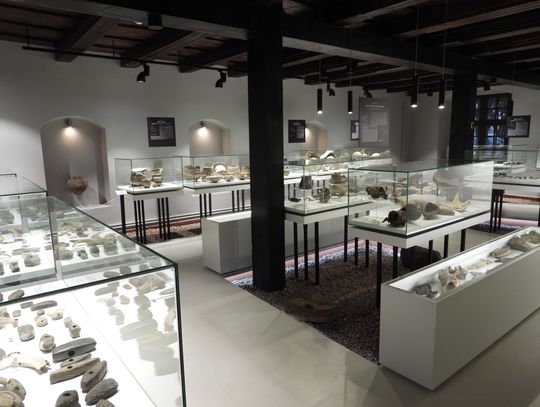 "Są to generalnie najstarsze zabytki naszego muzeum"- twierdzi archeolog Paweł Sobczyk