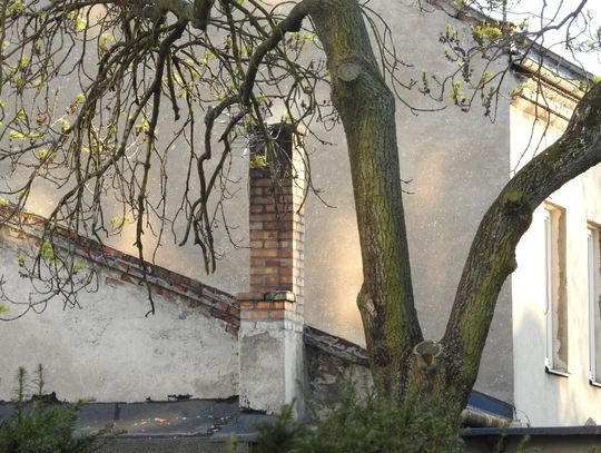 Sąd Rejonowy we Włocławku ukarał osobę wypalającą śmieci. Kara grzywny to aż 800 zł