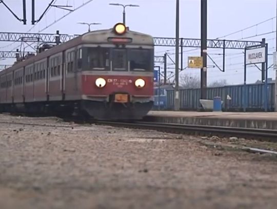 Samorząd powołał nowego przewoźnika. Radni zagłosowali za utworzeniem Kujawsko-Pomorskich Samorządowych Przewozów Pasażerskich