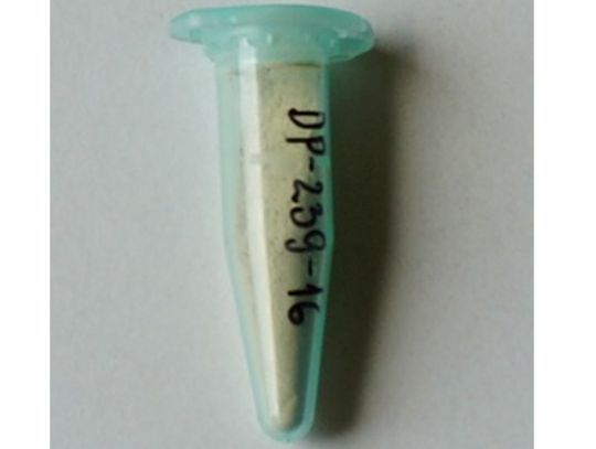 Sanepid ostrzega przed "Etazenem"nowym narkotykiem na rynku. Jest 60 razy mocniejszy niż morfina