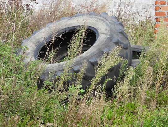 Saniko nie przyjmie podrzuconych włocławianinowi na działkę opon... Dlaczego?