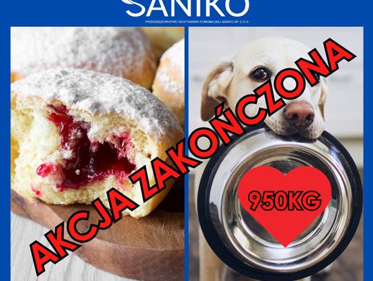Saniko kończy akcję przed czasem - pomysł wymknął się spod kontroli