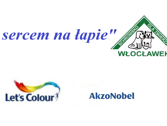 Schronisko prosi chętnych o pomoc w odnowie ogrodzenia
