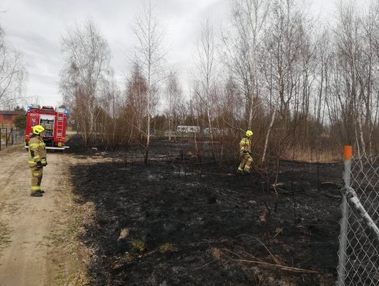 Seria pożarów traw w okolicach Włocławka