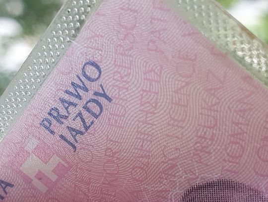Siedmiu kierowców straciło prawo jazdy na 3 miesiące. Efekt kontroli włocławskiej grupy SPEED 