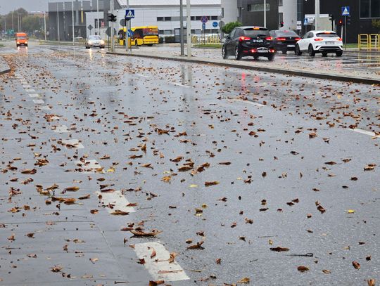 Silny wiatr w regionie. IMGW wydał ostrzeżenia dla Kujaw i Pomorza