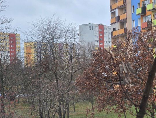 Silny wiatr w województwie kujawsko-pomorskim – IMGW wydało ostrzeżenie