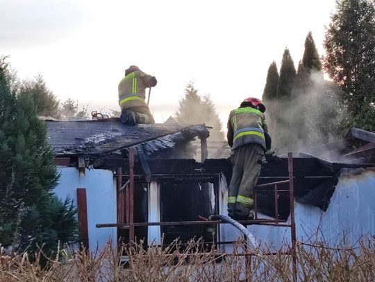 Spłonął domek letniskowy w centrum Włocławka 