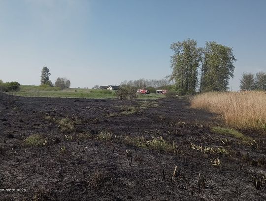 Strażacy gasili pożar ponad 2 godziny. Doszło do podpalenia łąki i lasu