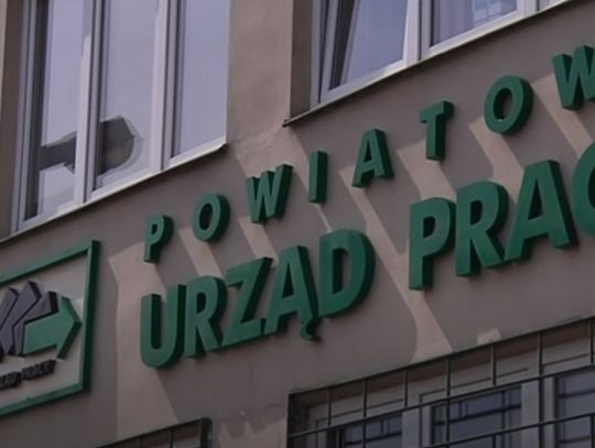 Starosta ogłosił konkurs na dyrektora Powiatowego Urzędu Pracy