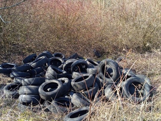 Stos wyrzuconych opon ujawnili leśnicy Nadleśnictwa Włocławek