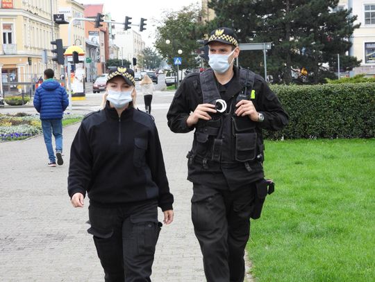 Straż Miejska przypomina o obowiązku szczepienia psów przeciwko wściekliźnie