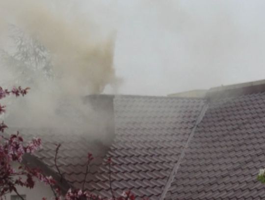 Straż Miejska w tym roku wlepiła już 36 mandatów za spalanie odpadów
