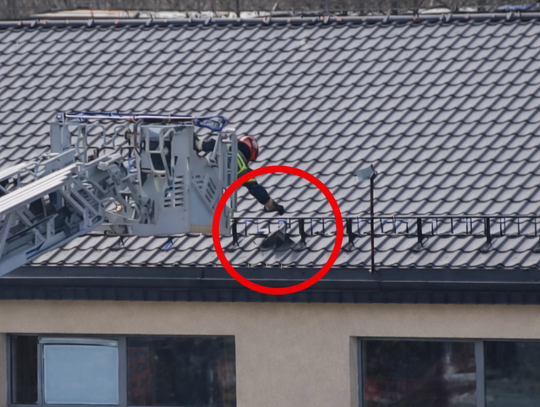 Strażacy i eko-patrol pod Dino, z dachu ściągano...