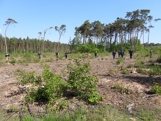 Strażacy i policja przeczesują las w poszukiwaniu zaginionego Kamila