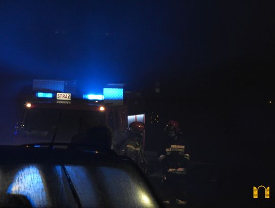 Strażacy ratowali psa, który wpadł do Wisły. Kundelek trafił do rąk właścicielki  