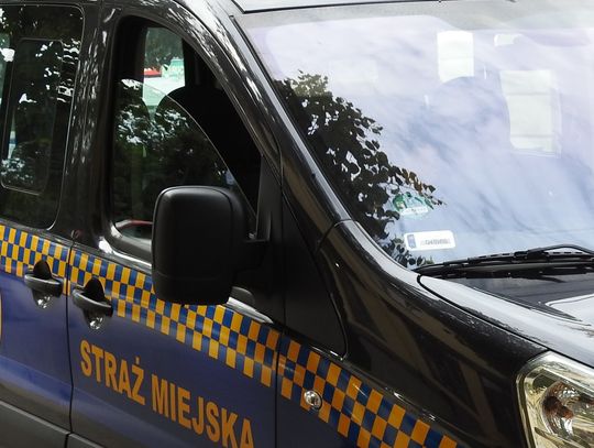 Strażnicy Miejscy użyli ręcznego miotacza gazu wobec zakłócających porządek na ul. Ogniowej