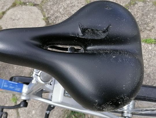 Szereg Włowerów nieopodal pchlego targu z poprzecinanymi siodełkami...