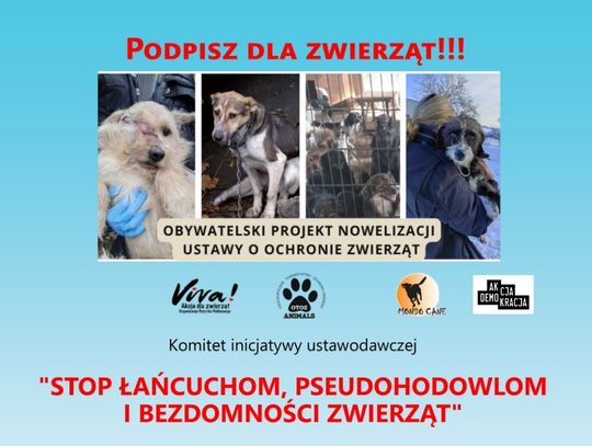 To ostatnie chwile, tylko do wtorku 24.09 można podpisać się pod projektem "Stop łańcuchom..." Gdzie we Włocławku?