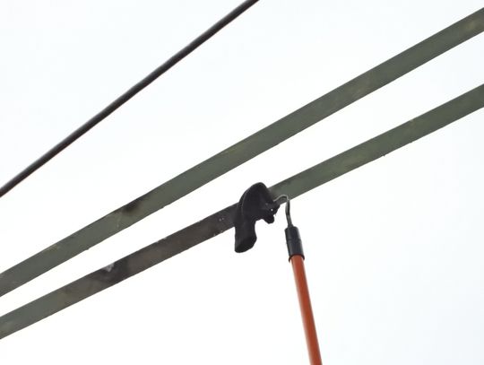 Tragedia w lesie na Zazamczu. Mężczyzna popełnił samobójstwo chwytając druty wysokiego napięcia. 