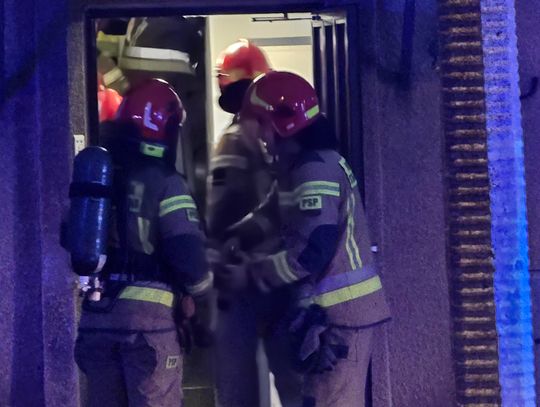 Pożar zabrał życie kotom i psom. Zadymienie w kamienicy przy ul. Kaliskiej